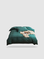 housse de couette 100% coton égyptien 220x240 - Vert